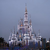 BrianAHicks > Distinctly Disney photo