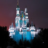 BrianAHicks > Distinctly Disney photo