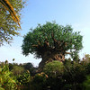 BrianAHicks > Distinctly Disney photo